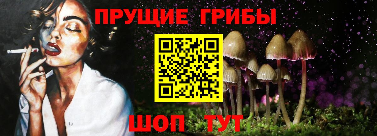 Вышний Волочёк  Псилоцибиновые грибы GOLDEN TEACHER  Вход с VPN 