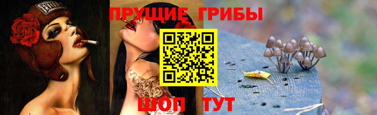 Псилоцибиновые грибы прущие грибы Вышний Волочёк
